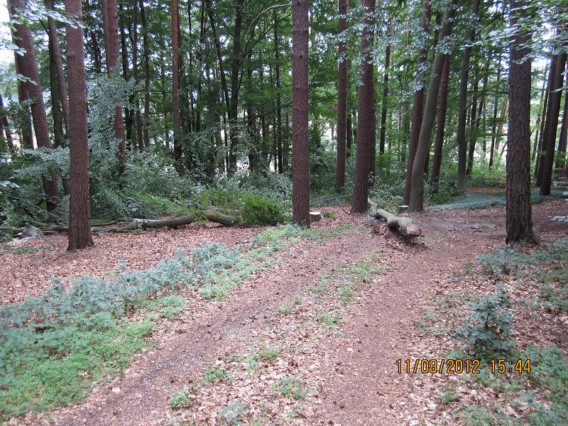 EinschlagAugust 002.jpg