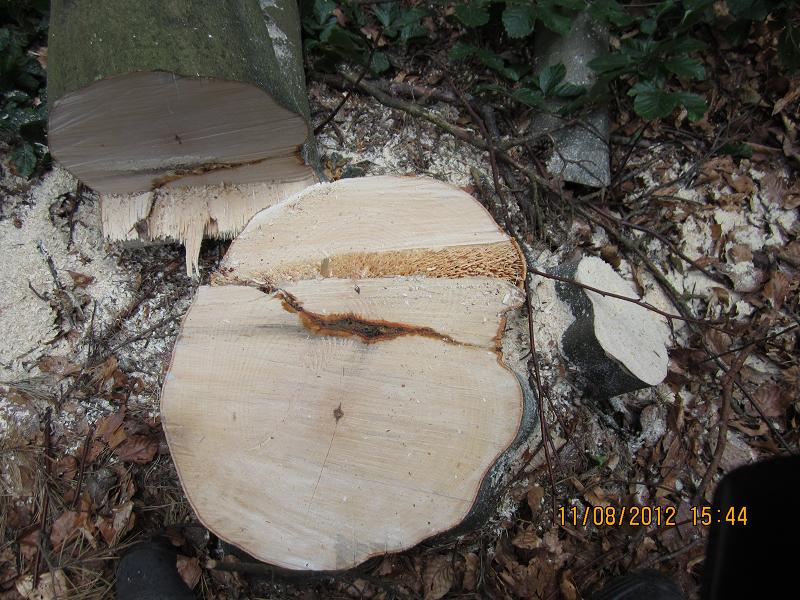 EinschlagAugust 003.jpg