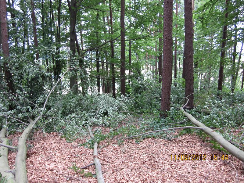 EinschlagAugust 004.jpg