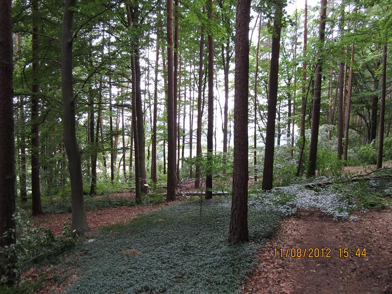 EinschlagAugust 006.jpg