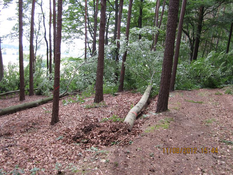 EinschlagAugust 007.jpg