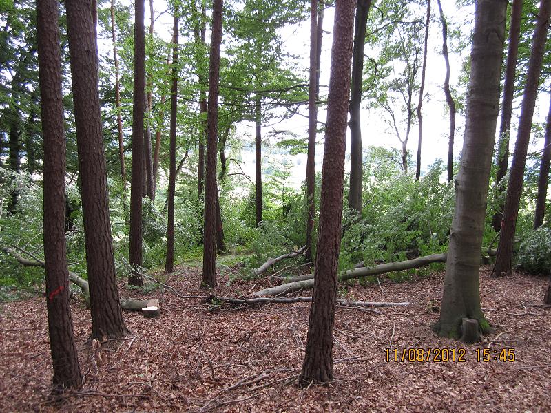 EinschlagAugust 009.jpg