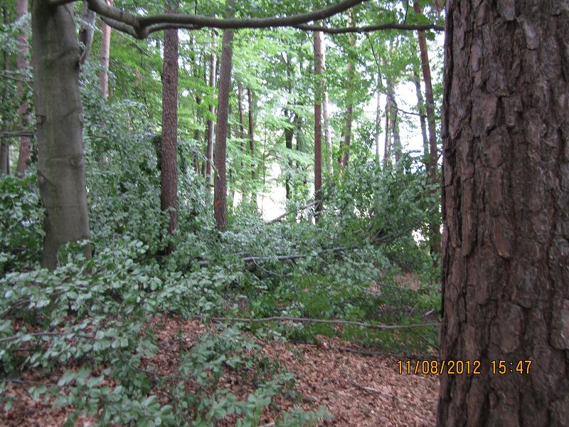 EinschlagAugust 010.jpg