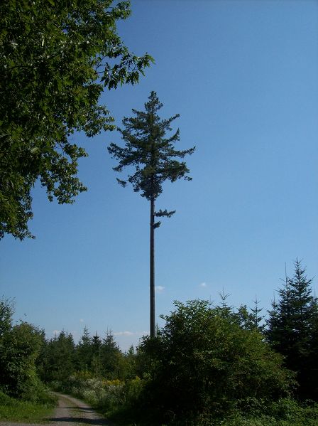 k-Allein auf weiter Flur.JPG