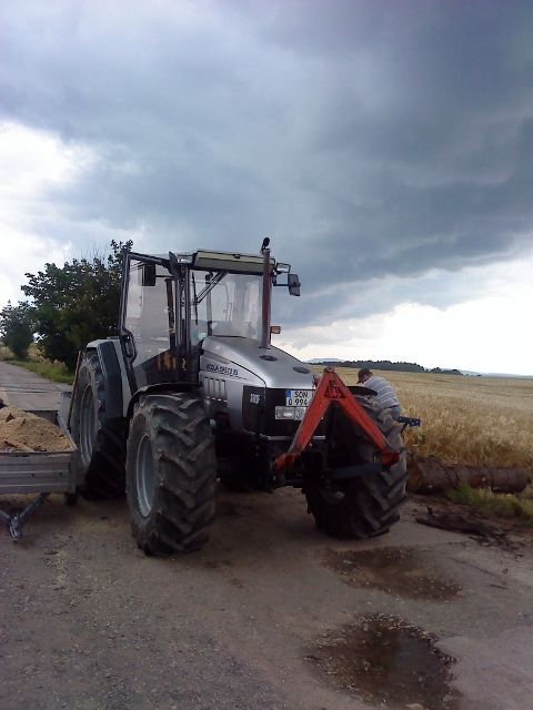 DSC00317 (480x640).jpg