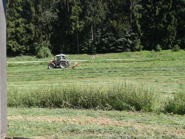 2012-07-08 15.46.44 (640x480).jpg