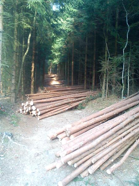 DSC00020 (Medium).jpg