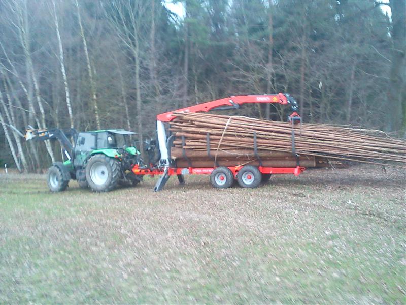 DSC00035 (Medium).jpg