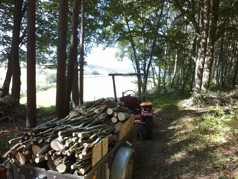 EinschlagAugust 019.jpg