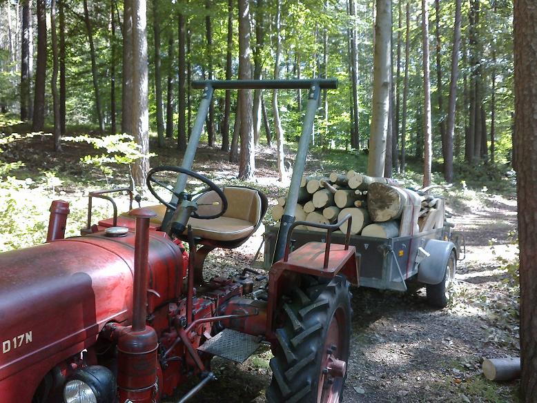 EinschlagAugust 020.jpg