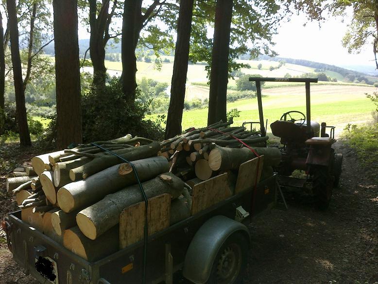 EinschlagAugust 021.jpg