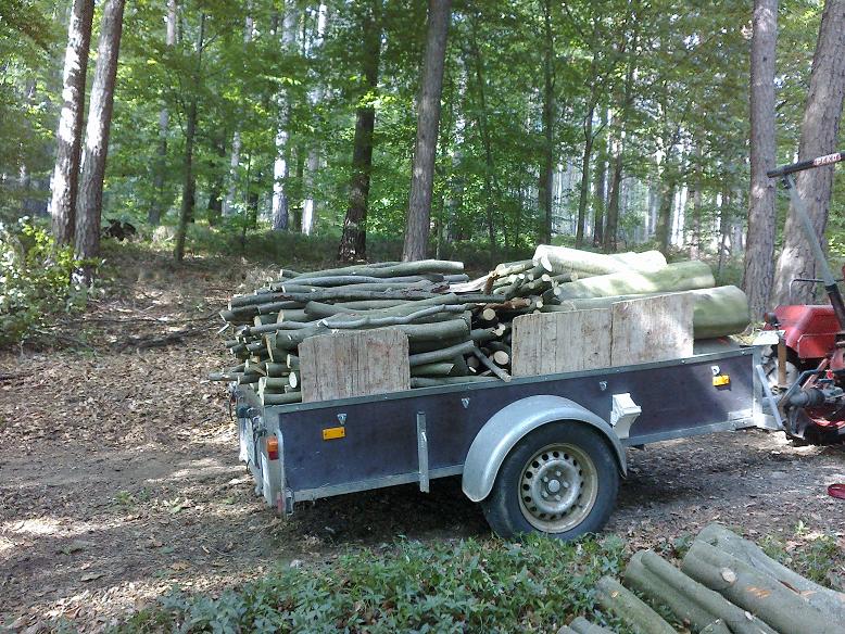 EinschlagAugust 022.jpg