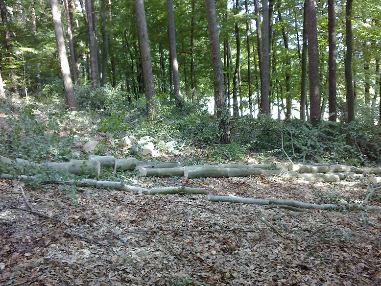 EinschlagAugust 023.jpg