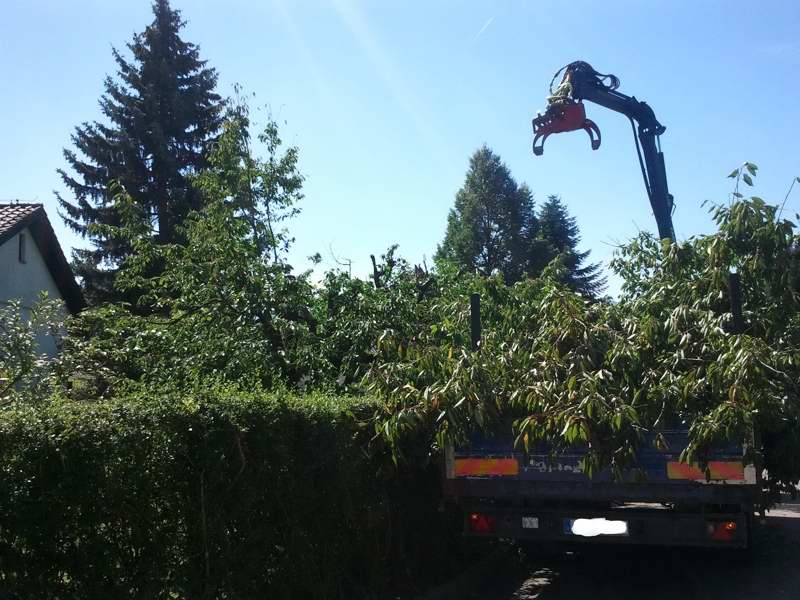 2012-08-18 11_032.59.34.jpg