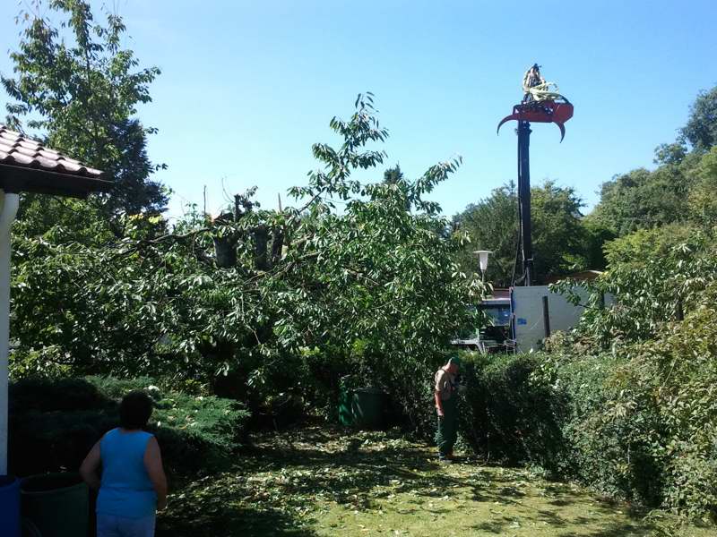 2012-08-18 11_030.59.15.jpg