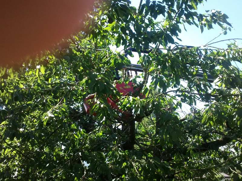 2012-08-18 11_026.43.03.jpg