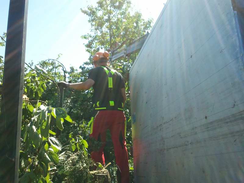 2012-08-18 11.41.57.jpg