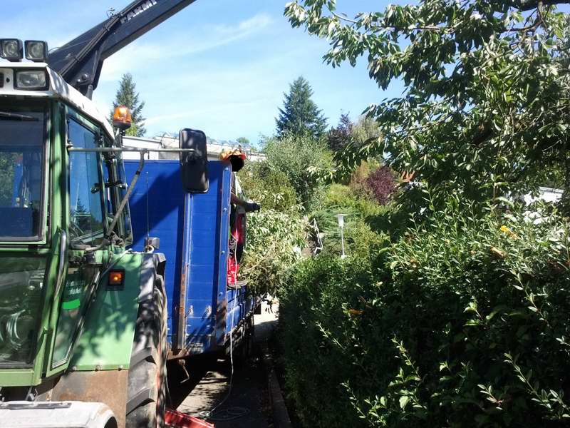 2012-08-18 11_022.41.26.jpg