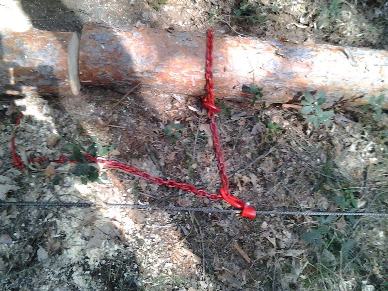 2012-08-20 10.22.17.jpg