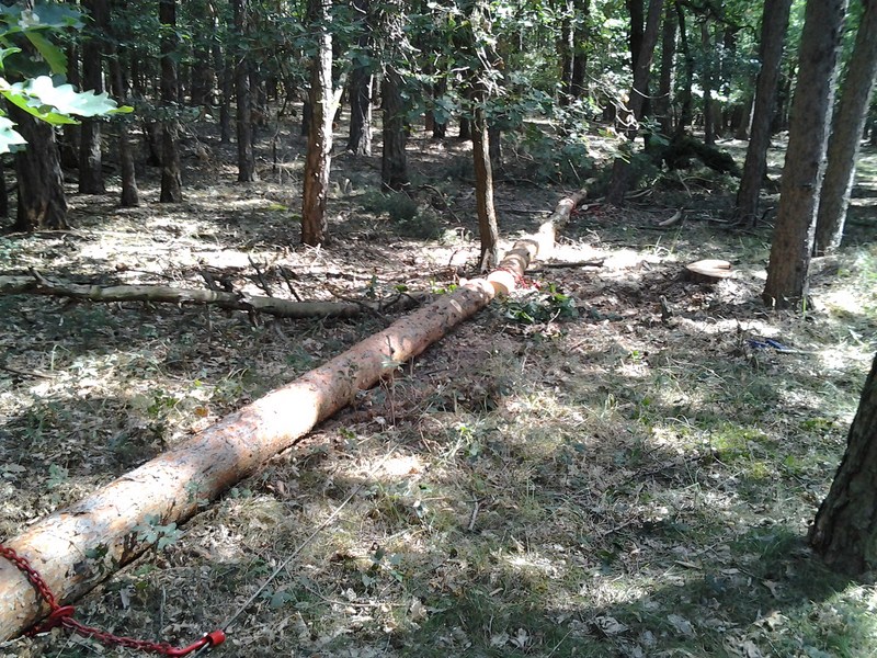 2012-08-20 10.22.06.jpg