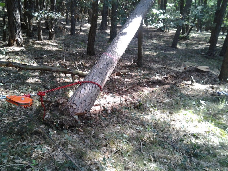 2012-08-20 09.54.41.jpg