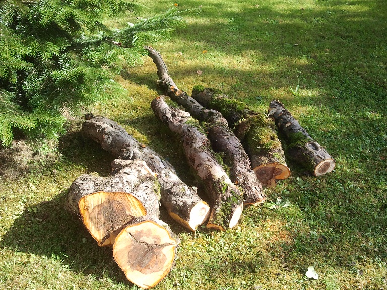 2012-08-21 10.02.18.jpg