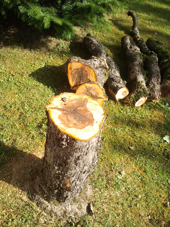 2012-08-21 10.02.13.jpg