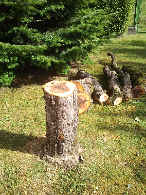 2012-08-21 10.02.09.jpg