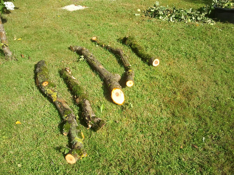 2012-08-21 10.02.02.jpg