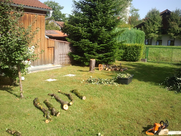 2012-08-21 10.01.57.jpg