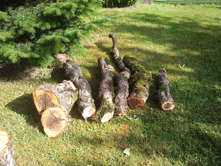 2012-08-21 10.01.35.jpg