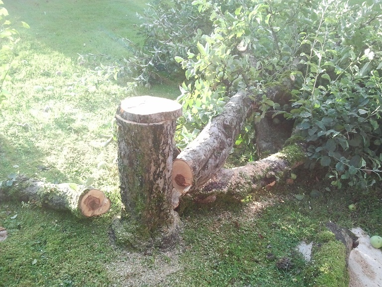 2012-08-21 07.18.27.jpg