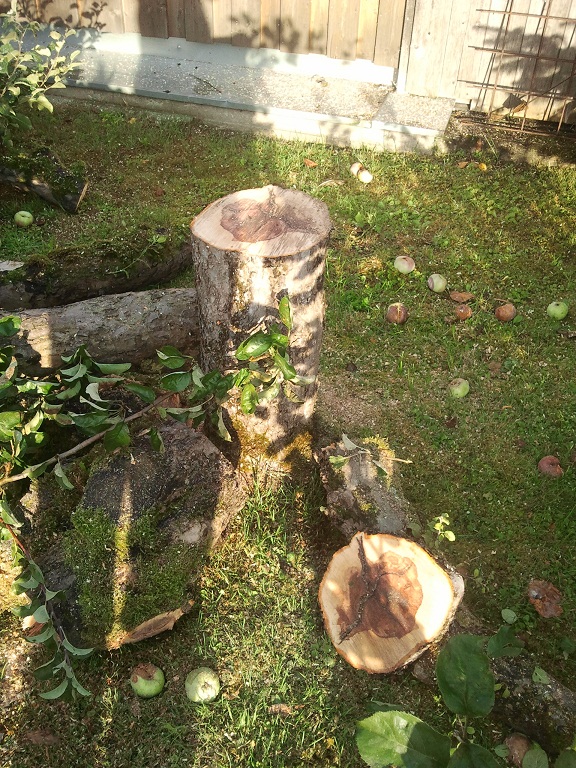 2012-08-21 07.18.01.jpg