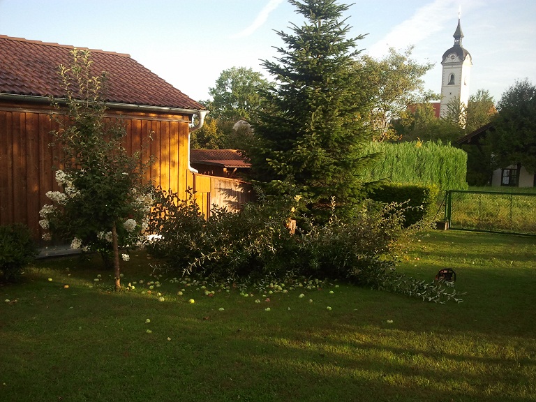 2012-08-21 07.16.18.jpg