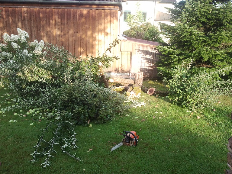 2012-08-21 07.16.01.jpg