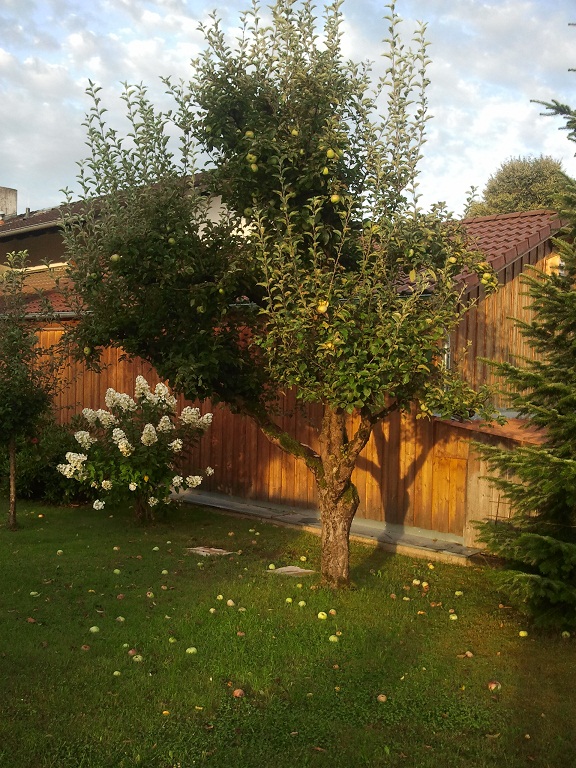 2012-08-21 07.09.43.jpg