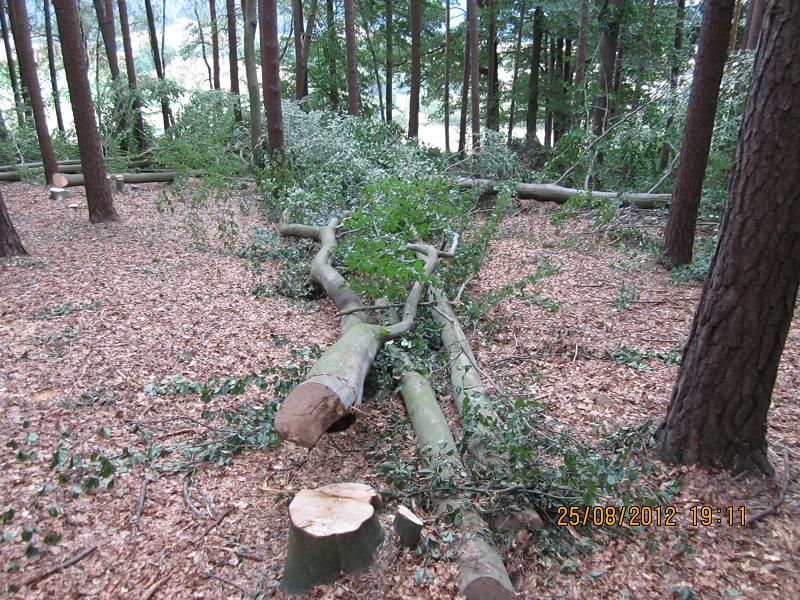 EinschlagAugust 029.jpg