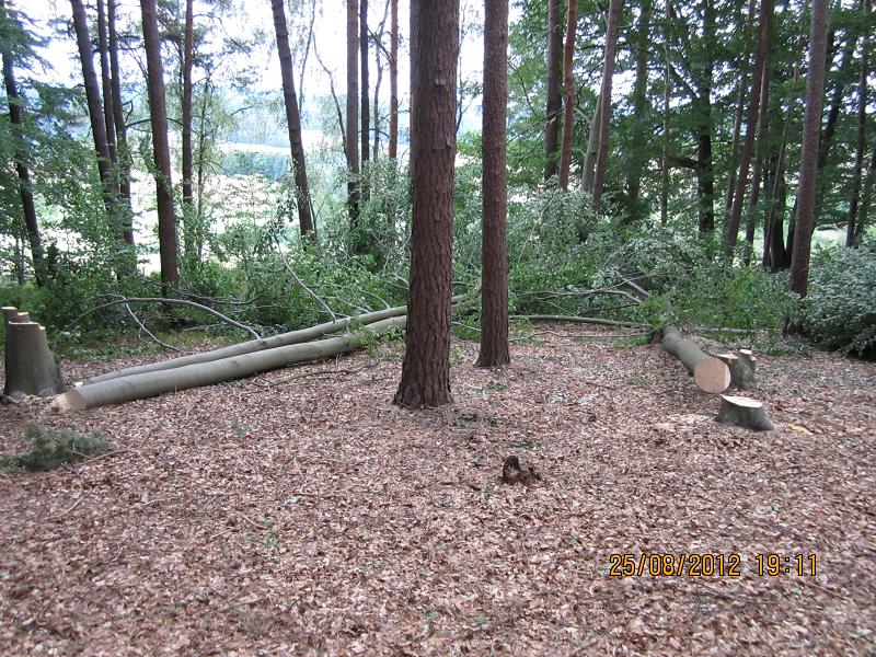 EinschlagAugust 030.jpg