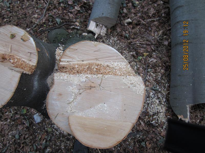 EinschlagAugust 031.jpg