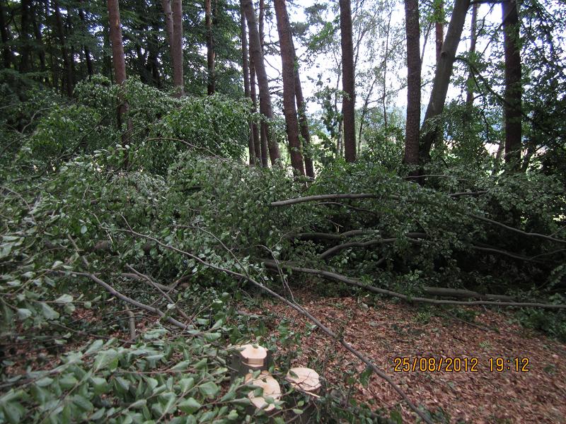 EinschlagAugust 032.jpg