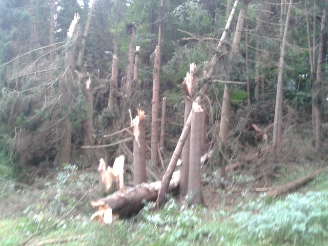 2012-08-24 10.11.02 (640x480).jpg