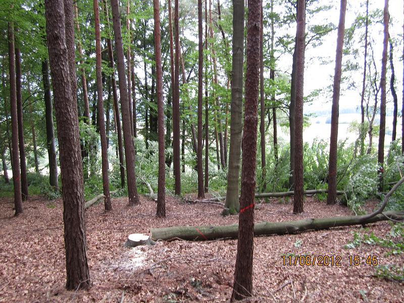 EinschlagAugust 008.jpg