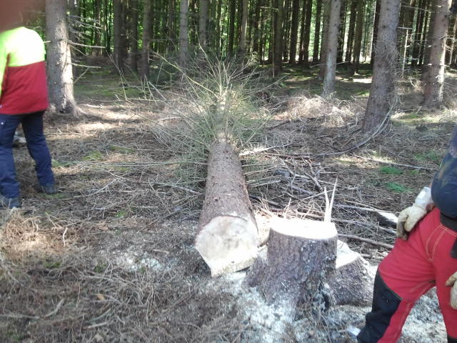 2012-08-27 10.42.50.jpg