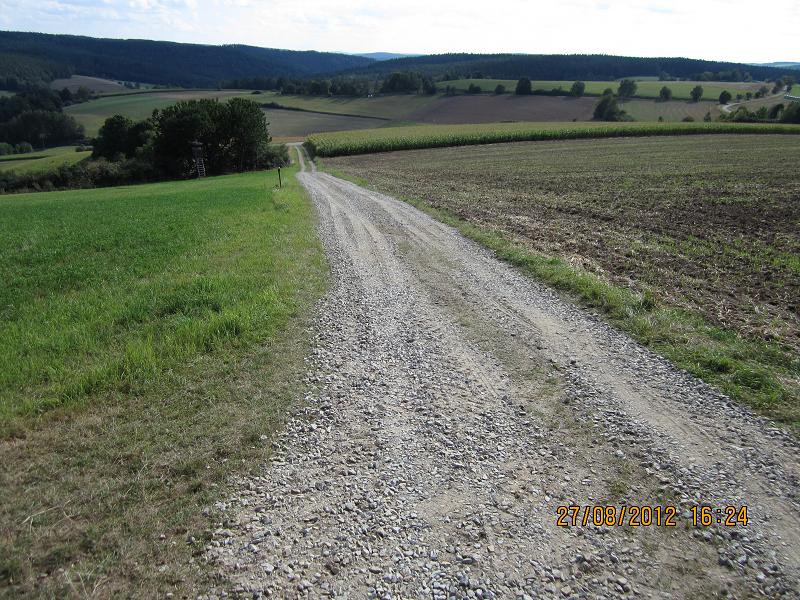 EinschlagAugust 035.jpg