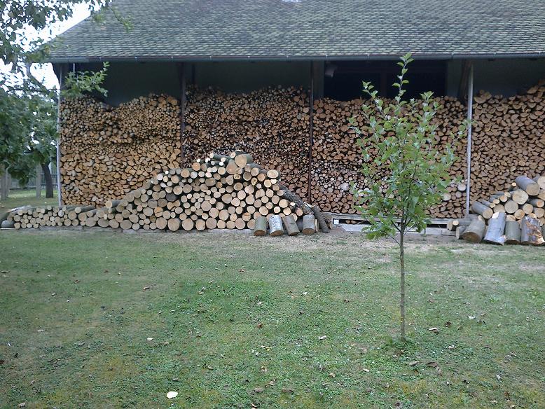 EinschlagAugust 040.jpg