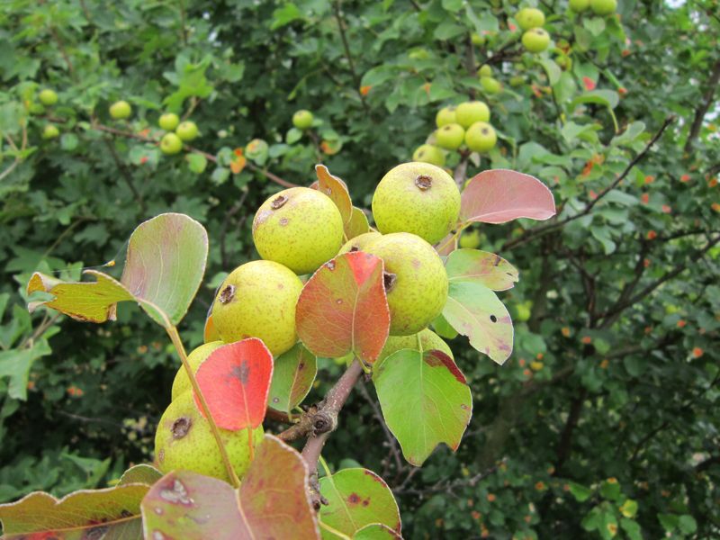 Bild 015.jpg