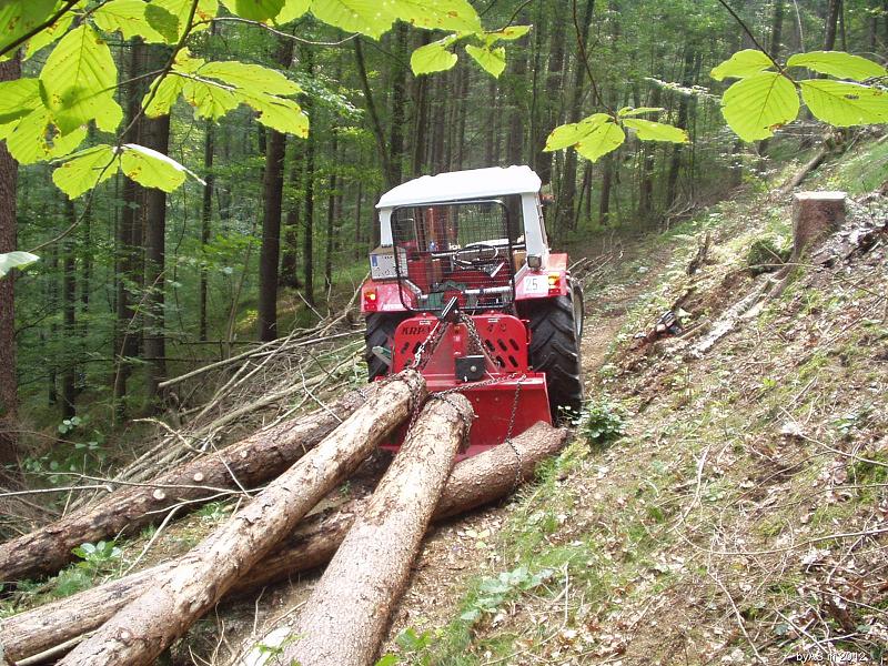 Die_ersten_Bloche_in_Ketten_P9290009_2.JPG