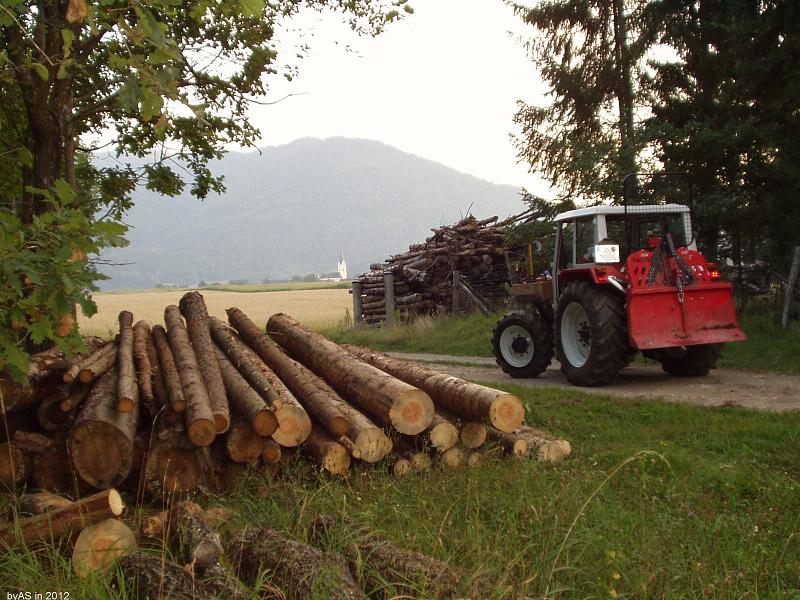 Faserholzhaufen_PA010003_2.JPG