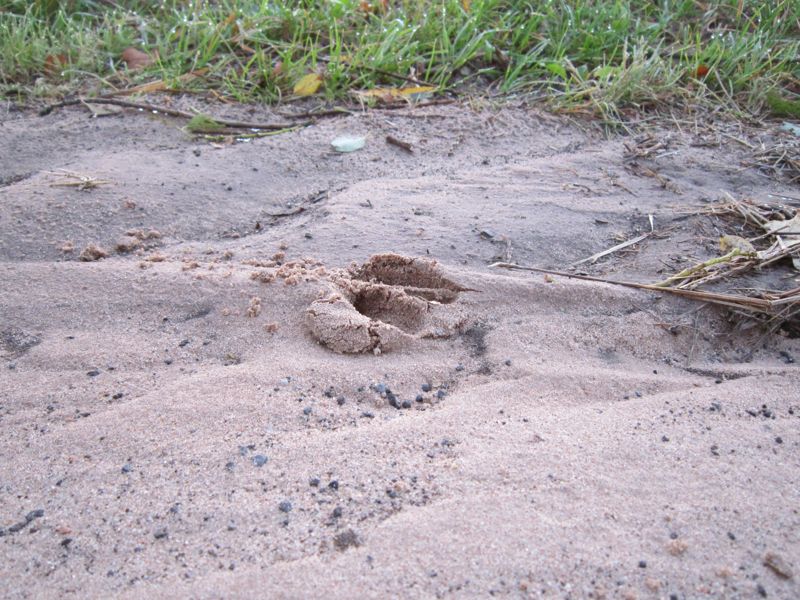 Bild 026.jpg