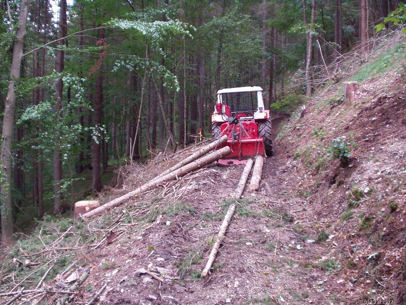 Baumspitzen_Faserholz_P9150001_2.JPG